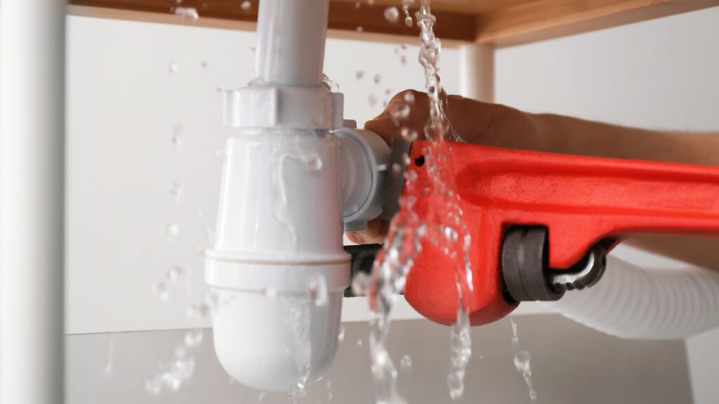 water leak repair cost