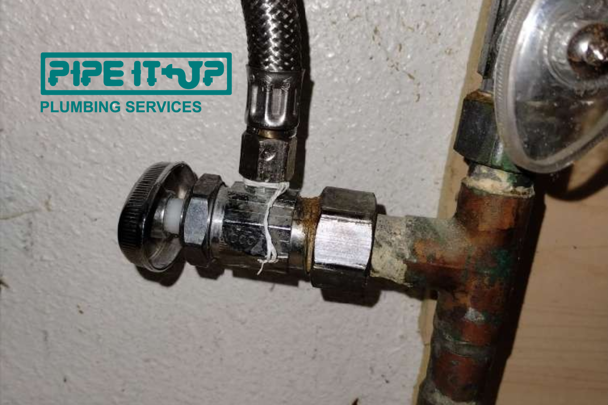 westminster water filtration